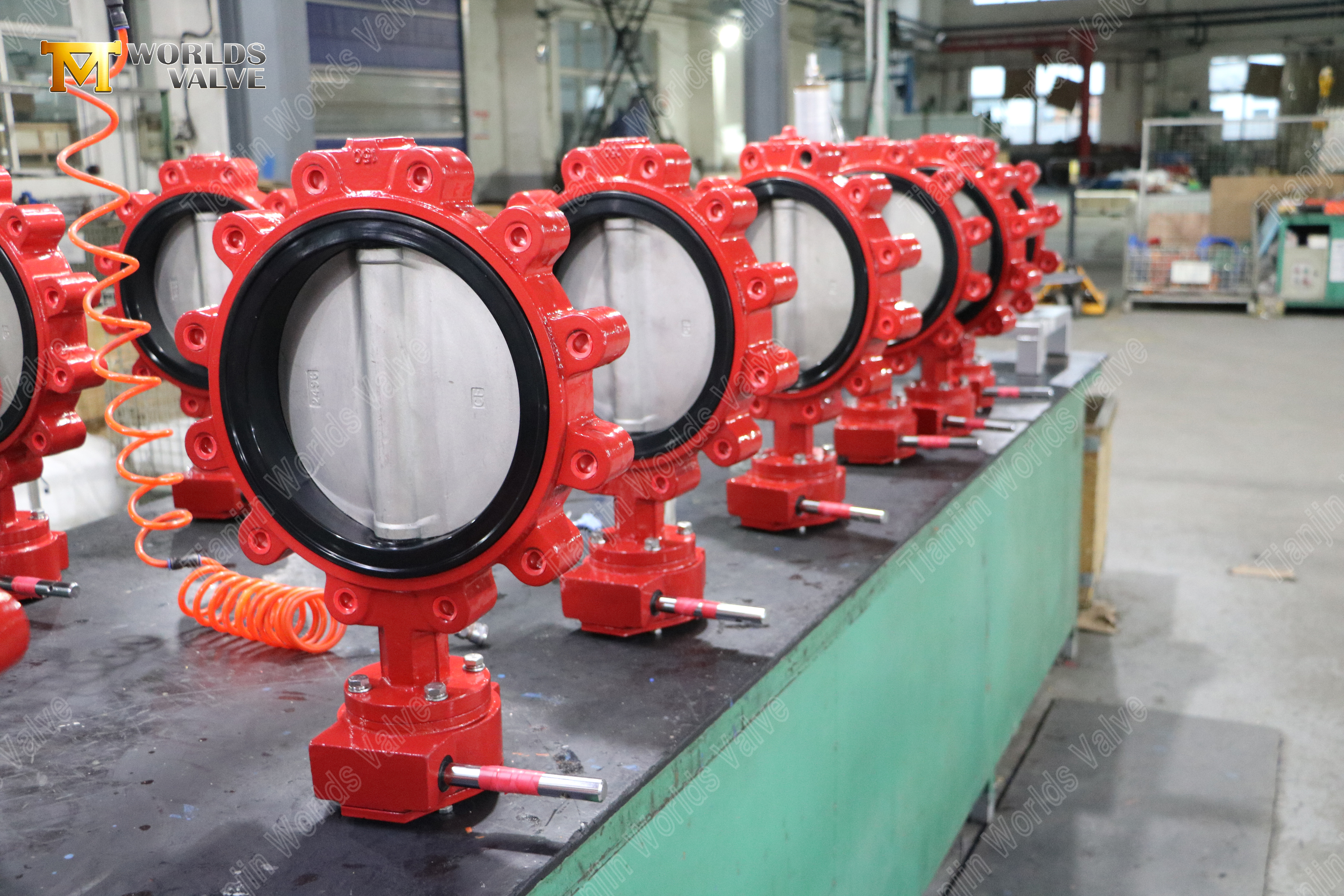 Worm Gear Operated Lug Type Butterfly Valves Worm Gear Lug Butterfly Valve with Nylon Covered DI Disc (8)