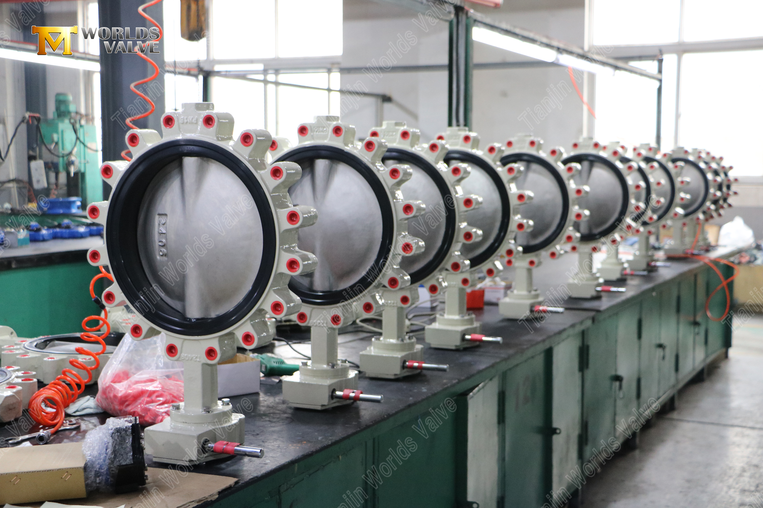 Lug Type Butterfly Valves Worm Gear Lug Butterfly Valve with Nylon Covered DI Disc (6)