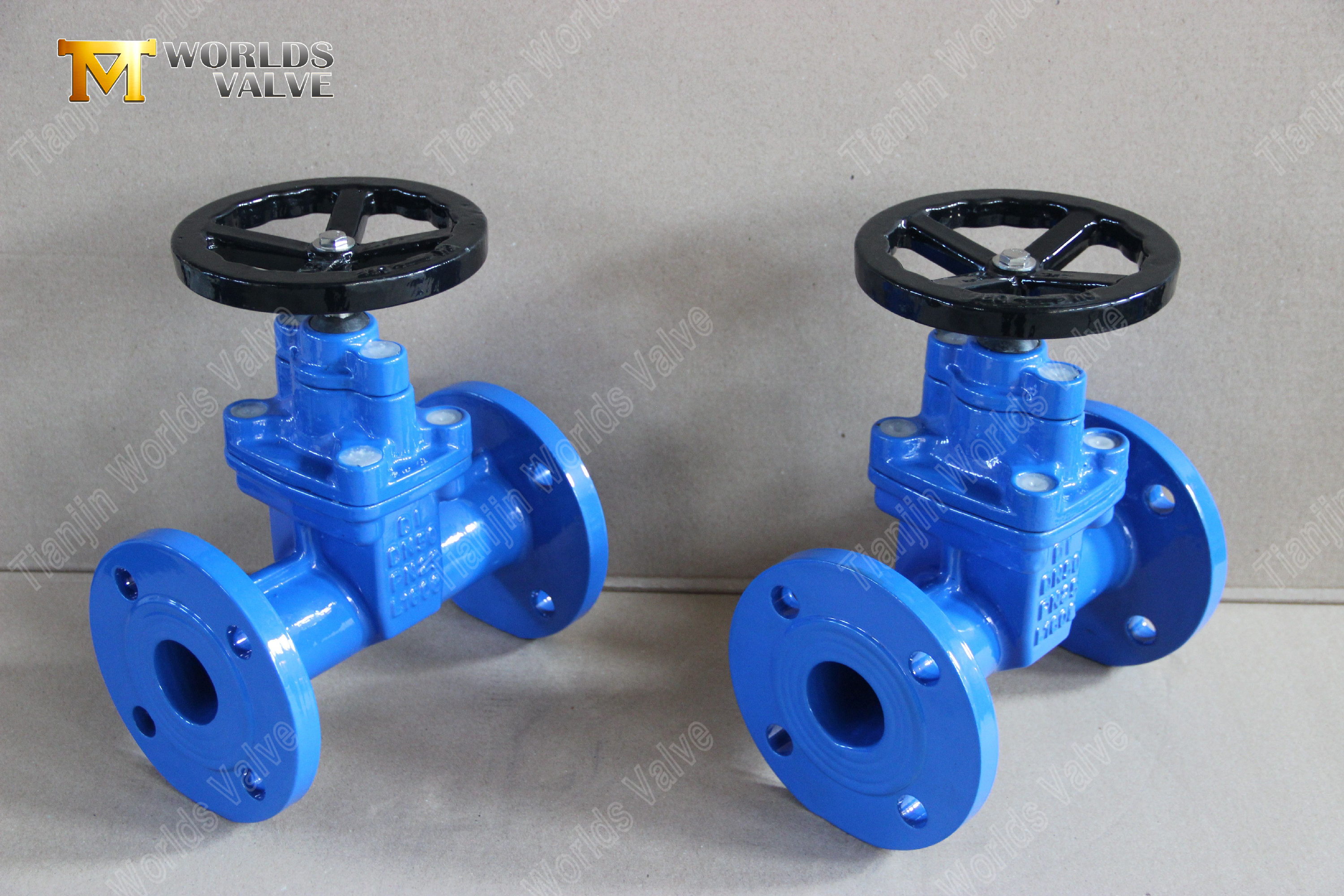 PN25 High Pressure Flange Gate Valve with Worm Gear Worm Gear Resilient Seat PN25 Gate Valves-1 (3)