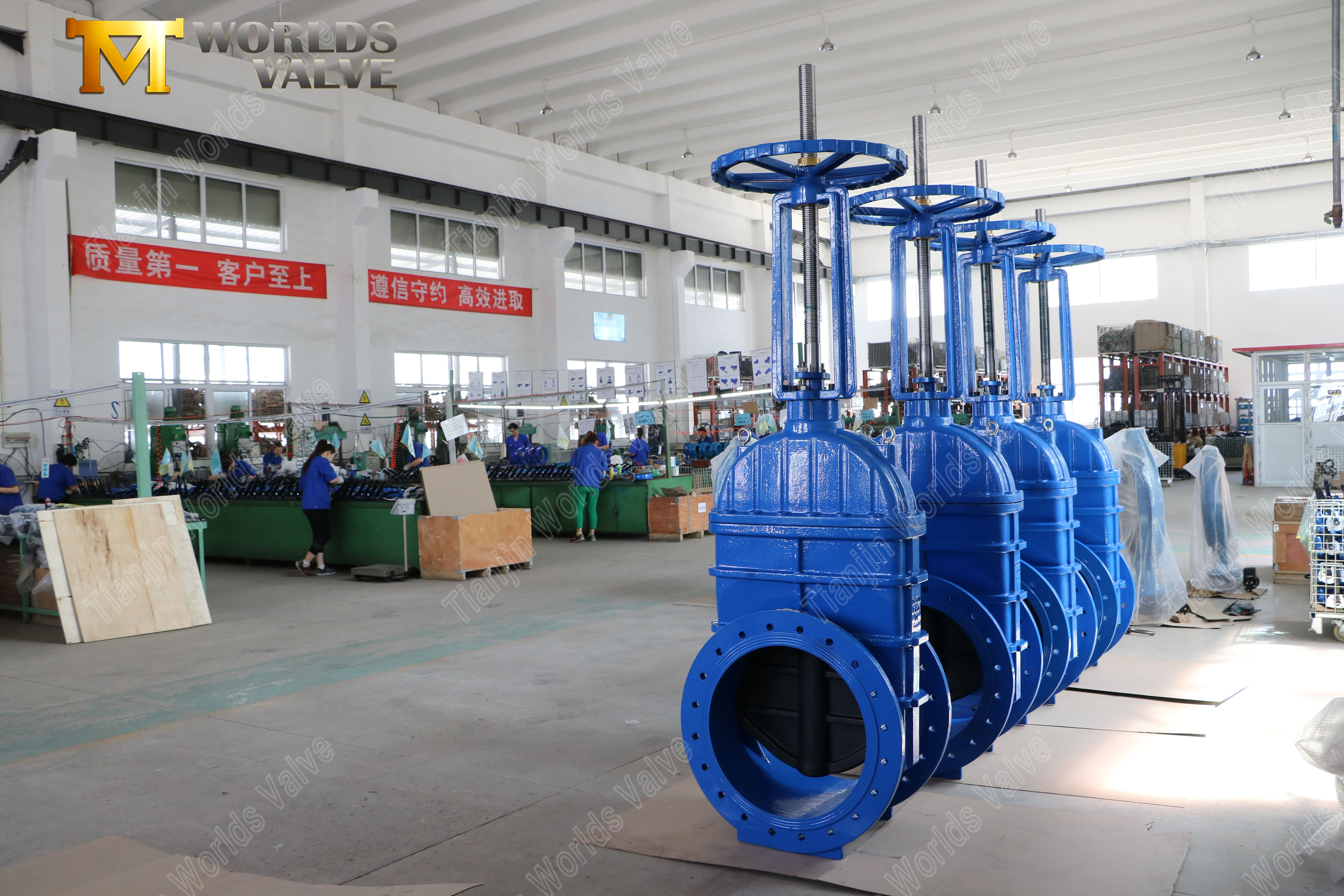 Large Size Rising Stem Gate Valves Flanged Rising Stem Gate Valve with EPDM Seat & Gearbox Operator (7)