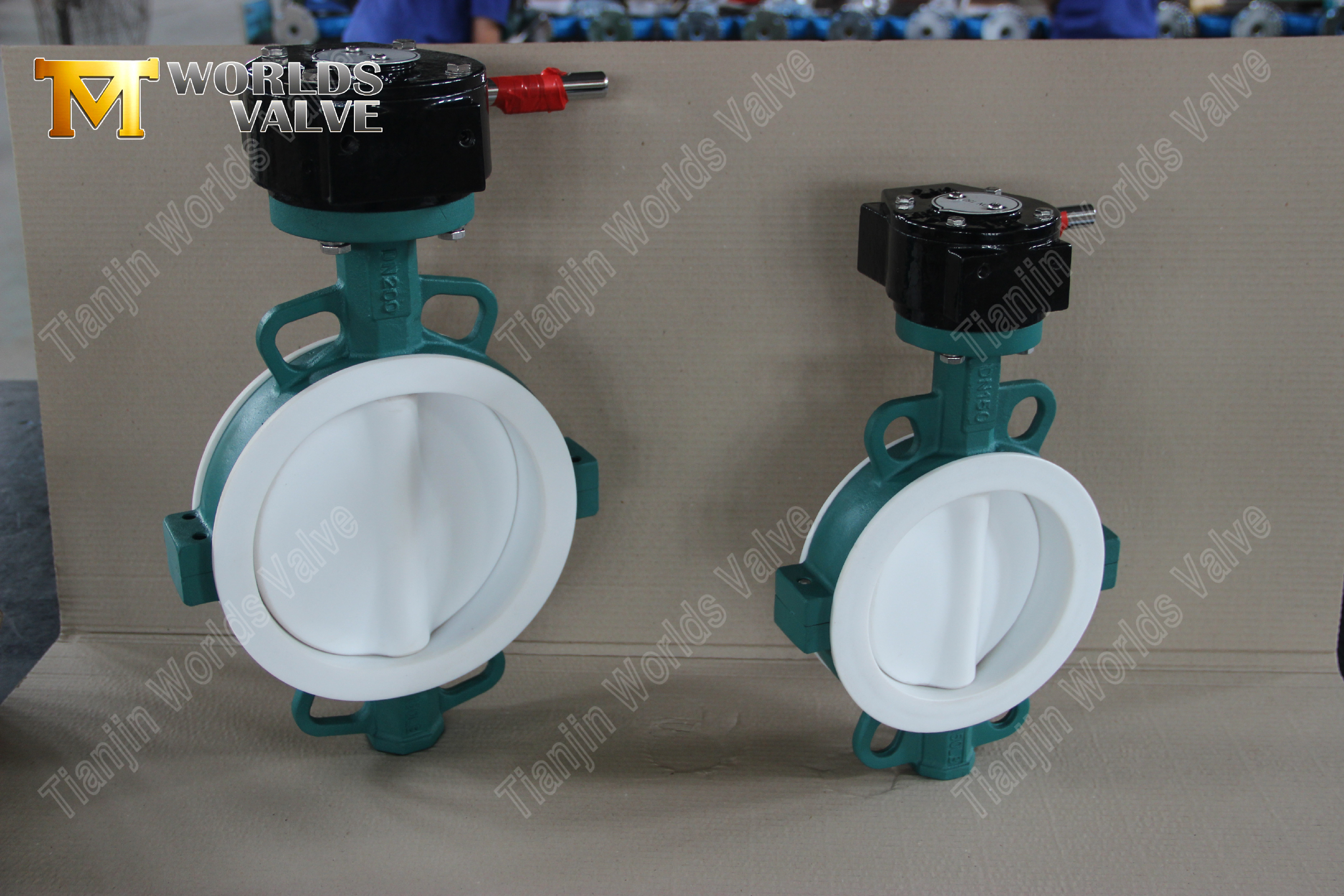 Teflon Lined Wafer Type Butterfly Valves PTFE Lined Seat & Disc Wafer Butterfly Valve Ultimate Corrosion Resistance Solution (7)