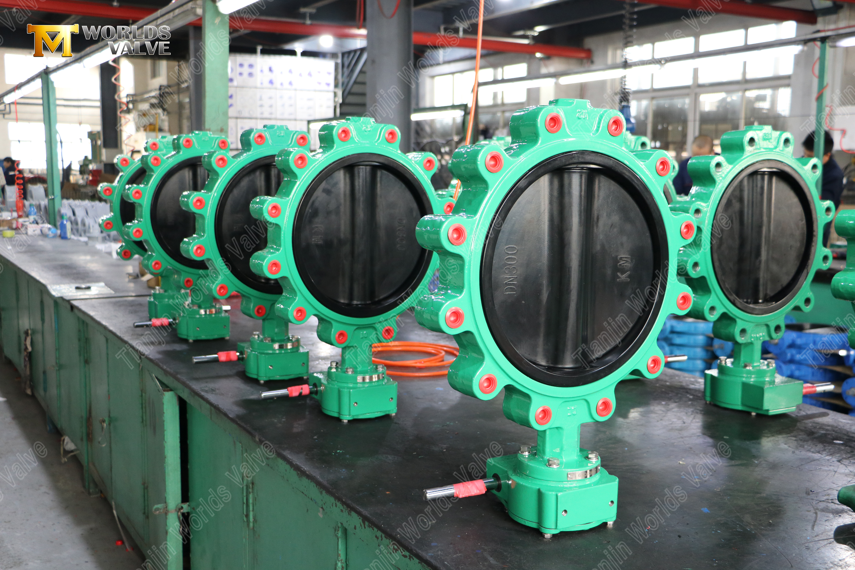 High Performance Lug Type Butterfly Valves Worm Gear Lug Butterfly Valve with Nylon Covered DI Disc (7)