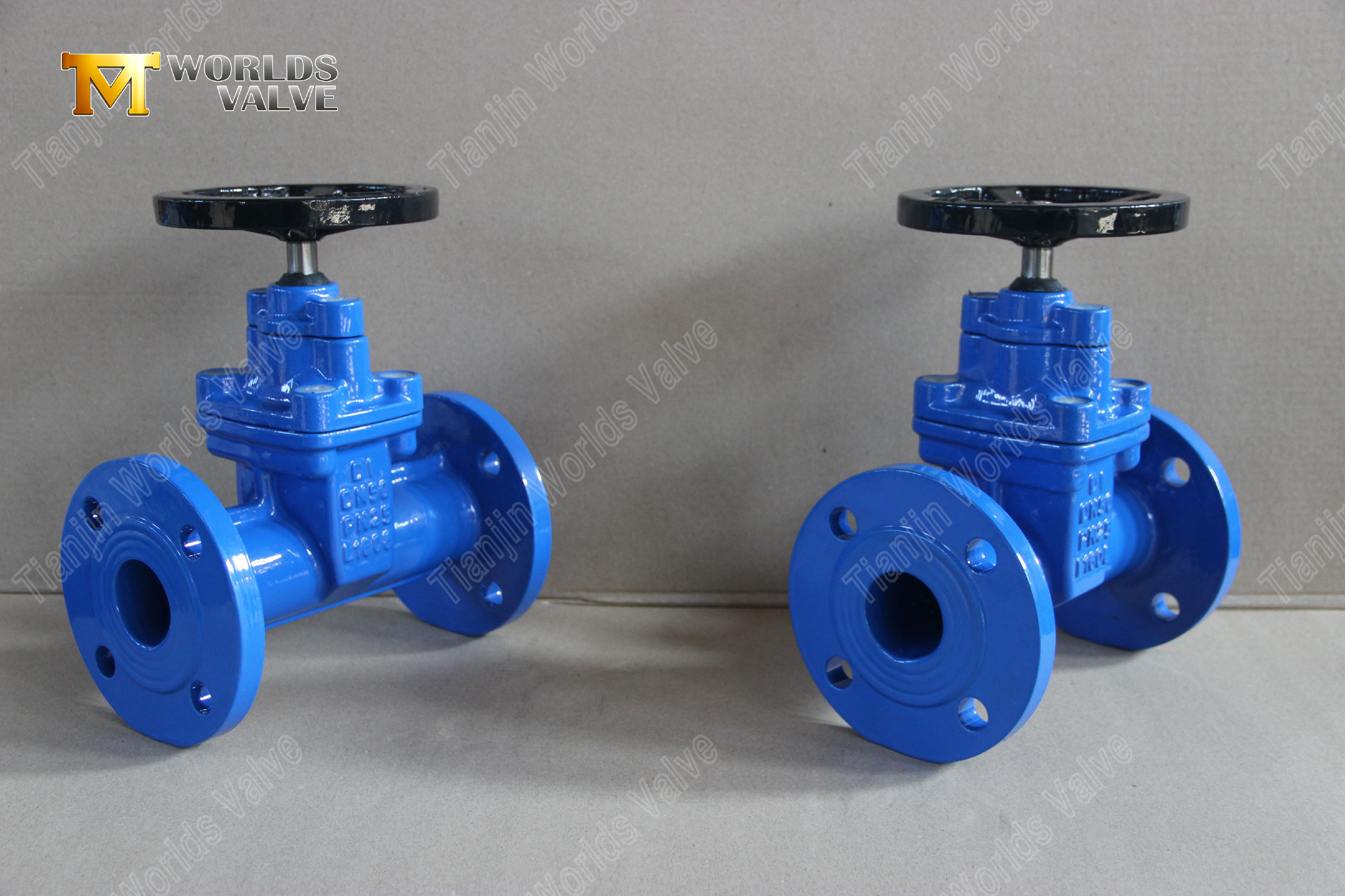 Non-Rising Gate Valves with Worm Gear Worm Gear Resilient Seat PN25 Gate Valves-1 (1)