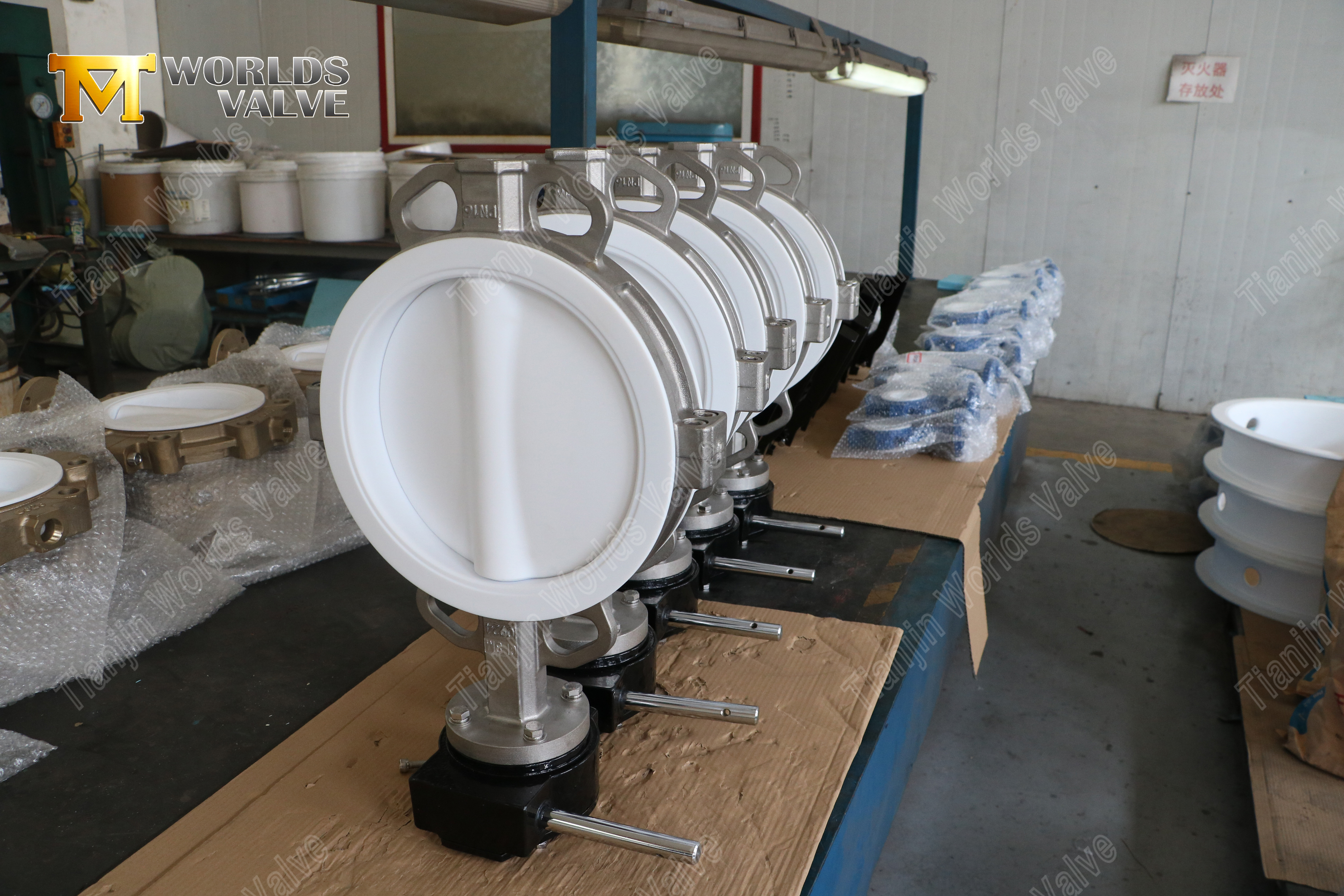 Wafer Butterfly Valve with PTFE Sealed PTFE Lined Seat & Disc Wafer Butterfly Valve Ultimate Corrosion Resistance Solution (3)