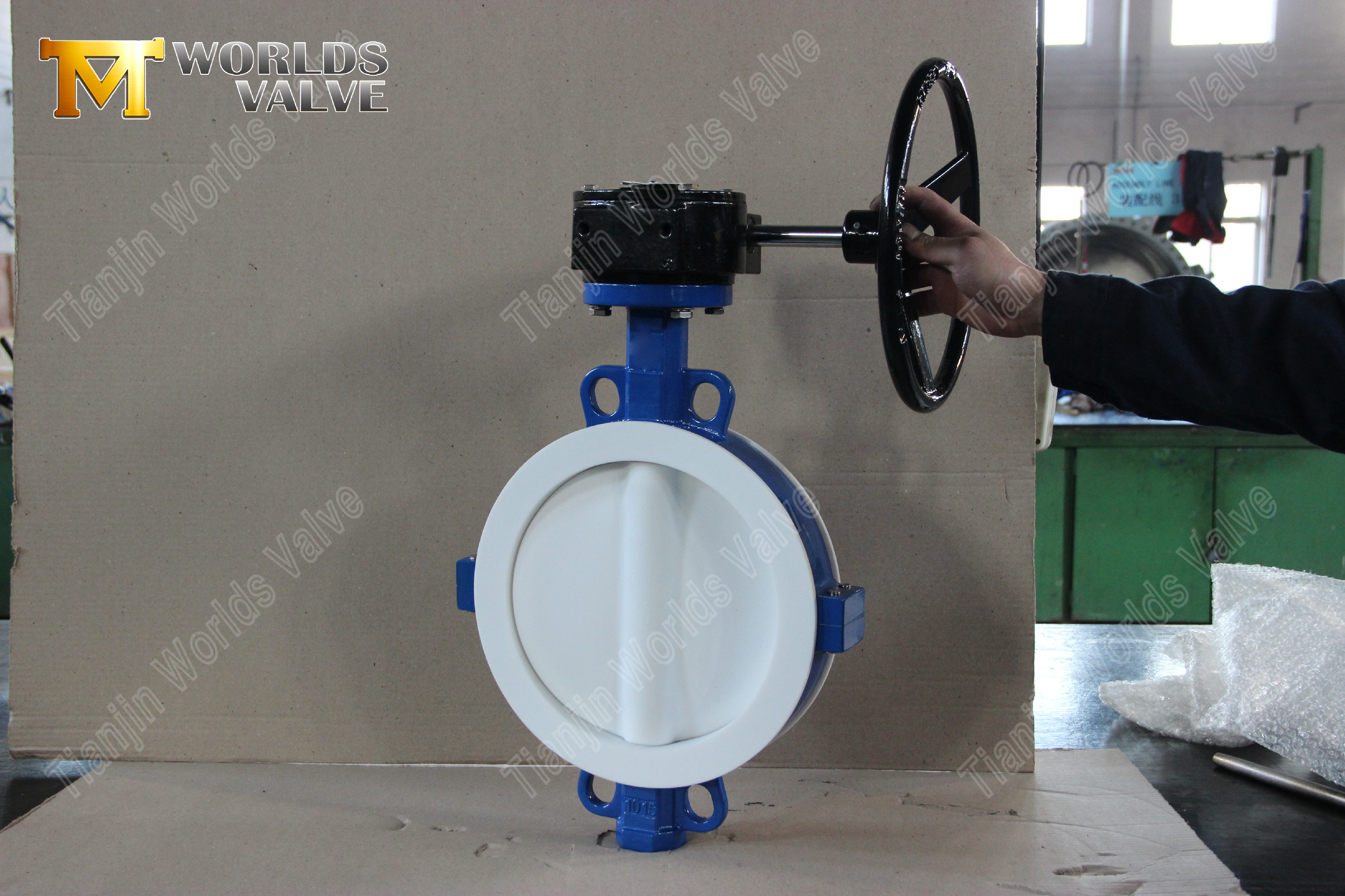 Full PTFE Coated Disc and Seat Wafer Butterfly Valve with Worm Gear PTFE Lined Seat & Disc Wafer Butterfly Valve Ultimate Corrosion Resistance Solution (6)