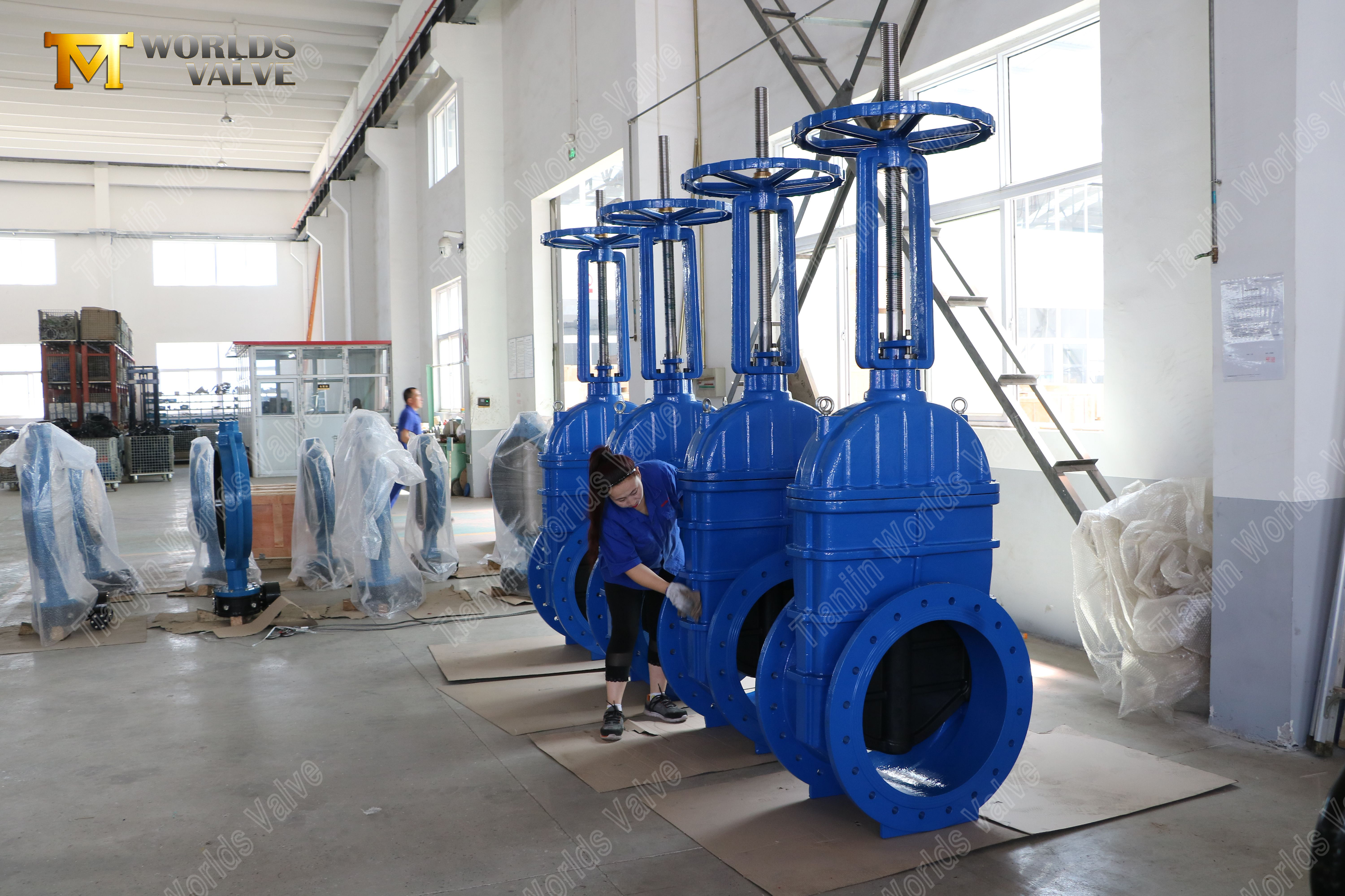 Rising Stem Gate Valves Flanged Rising Stem Gate Valve with EPDM Seat & Gearbox Operator (6)