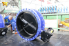 Halar Epoxy Coating FBE Coated Double Flanged Butterfly Valve