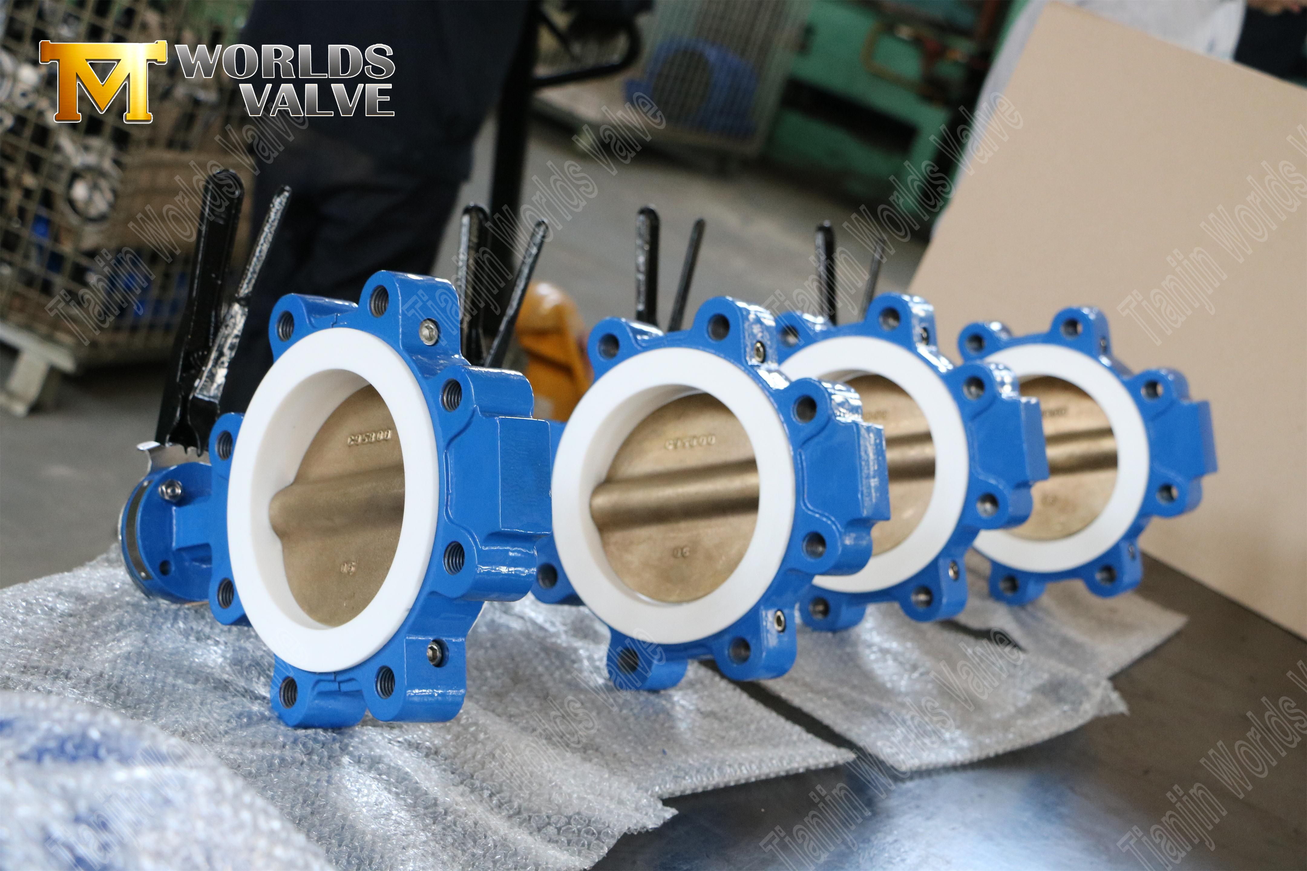 CBF05E-TL01Butterfly Valve Manufacturers - PTFE Lined Lugged and Tapped Butterfly Valve-2 (2)