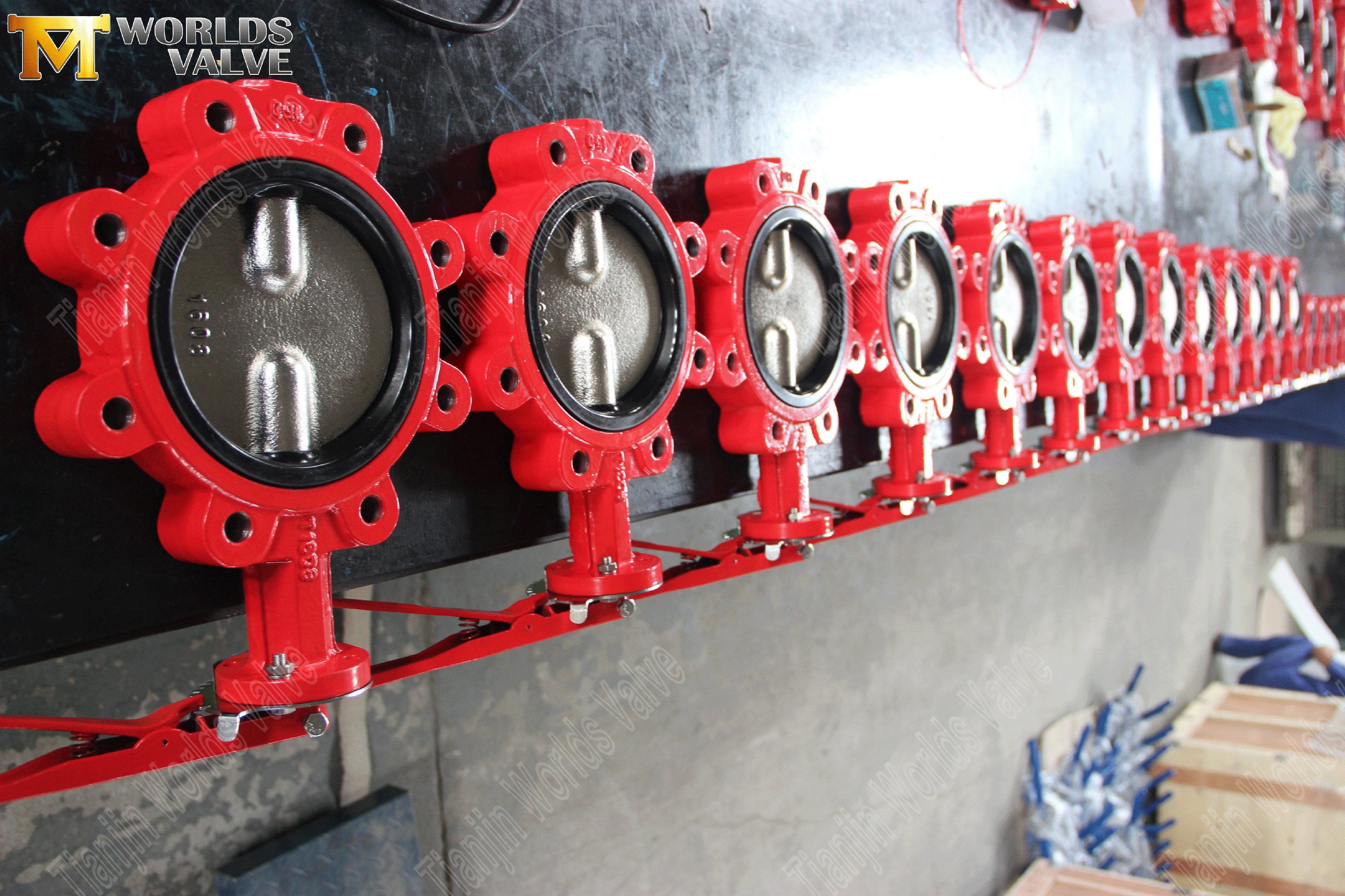 Split-Shaft Pinless Lug Type Butterfly Valve-2 (1)