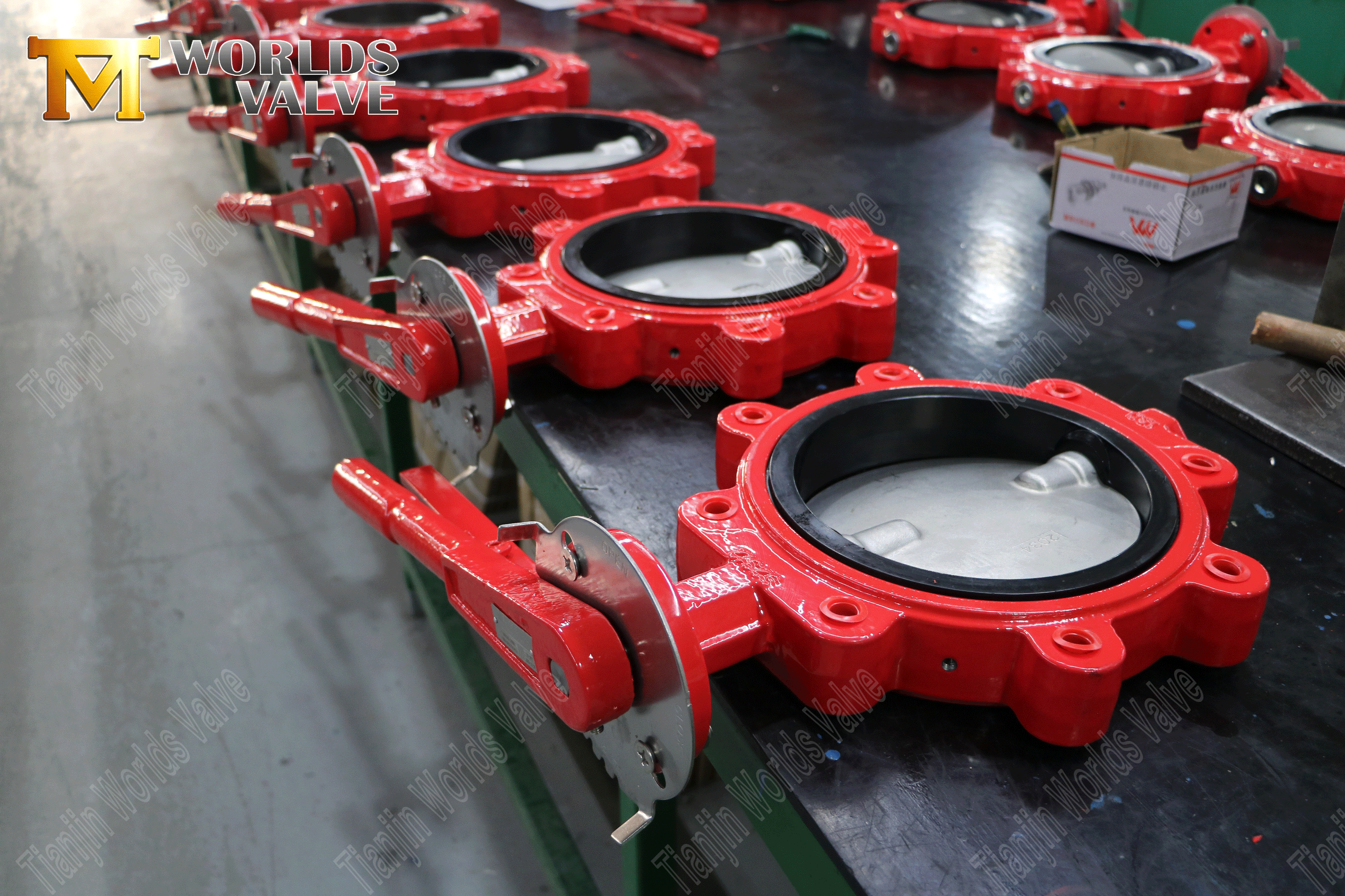 Split-Shaft Pinless Lug Type Butterfly Valve-2 (3)