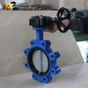 Butterfly Valve with Lug Type Design and Worm Gear Operated offered by China OEM Valve Manufacturer-Tianjin Worlds Valve