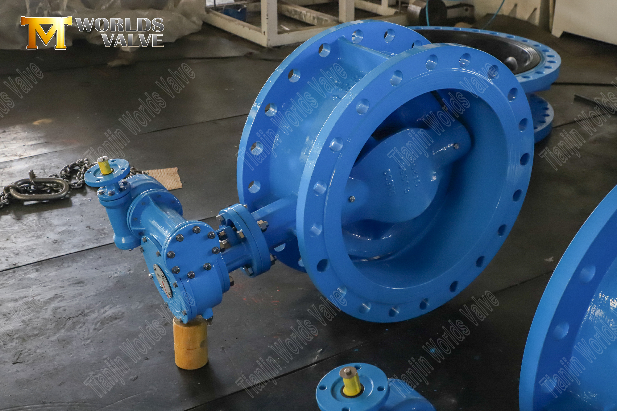 Double Offset PN25 Butterfly Valve with Double Flanges and Gear Operator-3 (3)