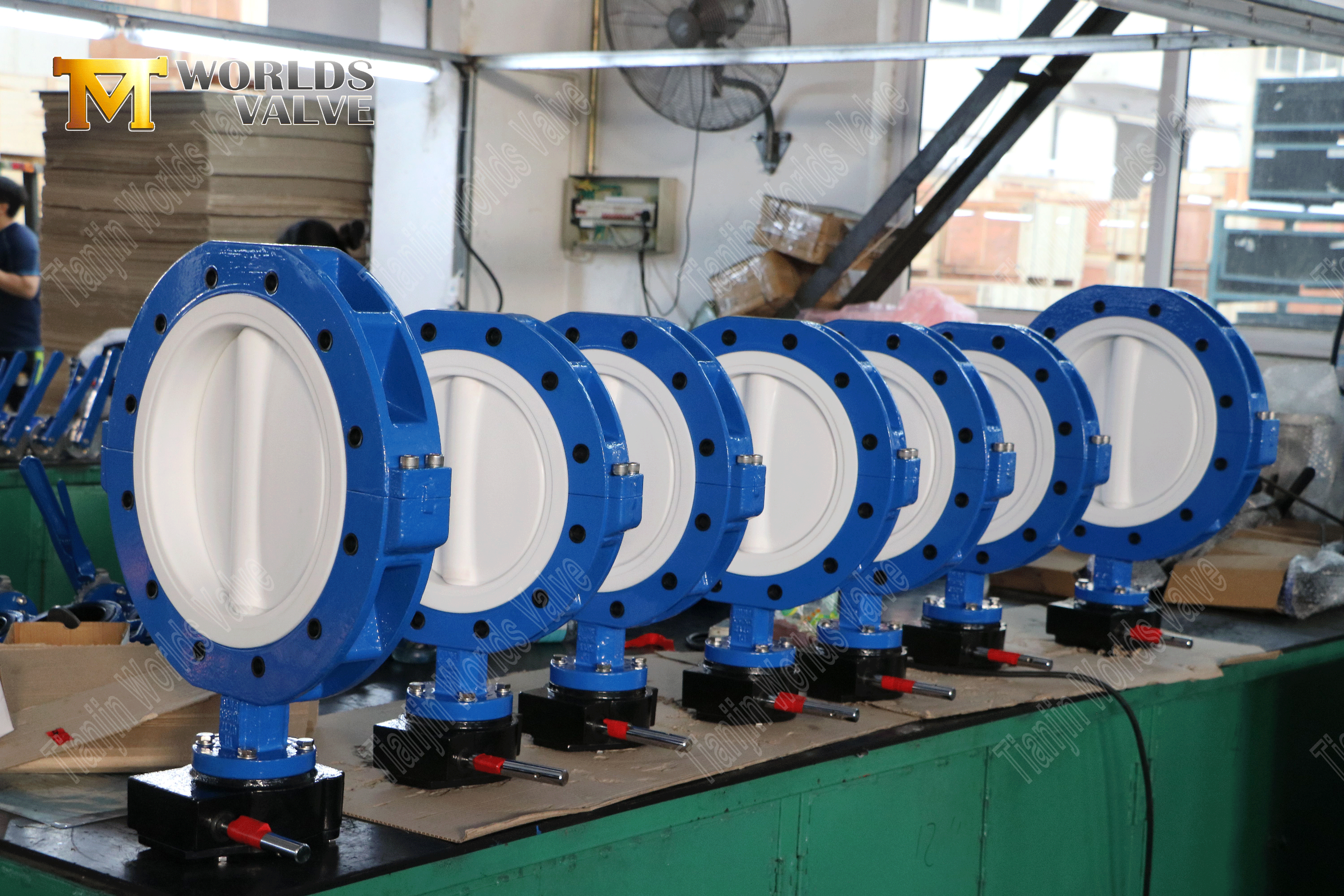 Lug Type PTFE Seat & Disc Butterfly Valves with Worm Gear-3 (2)