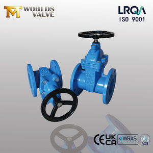 BS5163 Resilient Seated Non-Rising Stem Ductile Iron Gate Valve | Reliable Water Control Solution-Tianjin Worlds Valve Co.,Ltd.