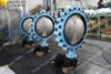 Fully lugged Butterfly Valves PN21 PN25 AS2129 Standard