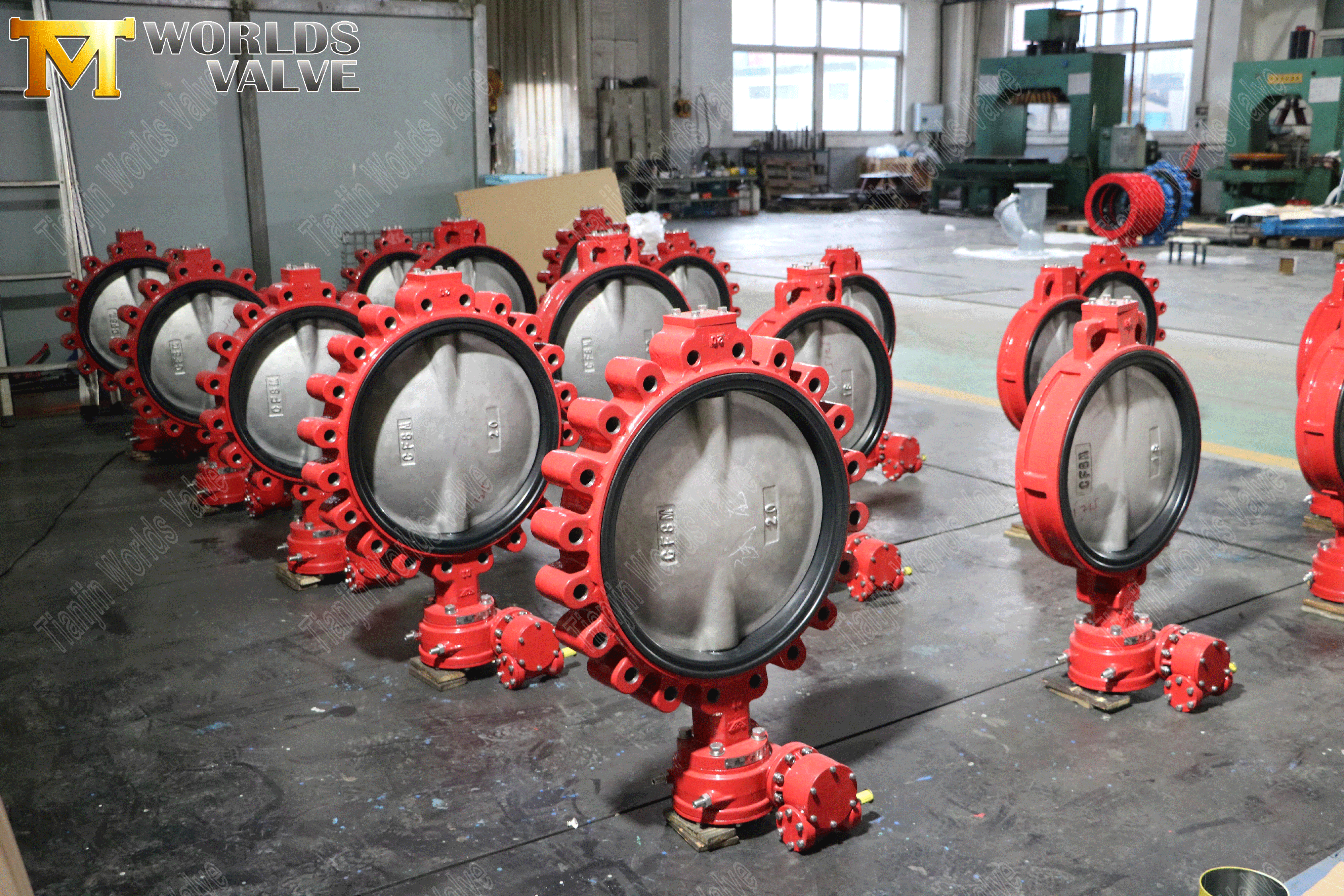 Concentric Butterfly Valve Suppliers - Lug Type Butterfly Valve with EPDM Seat (12)