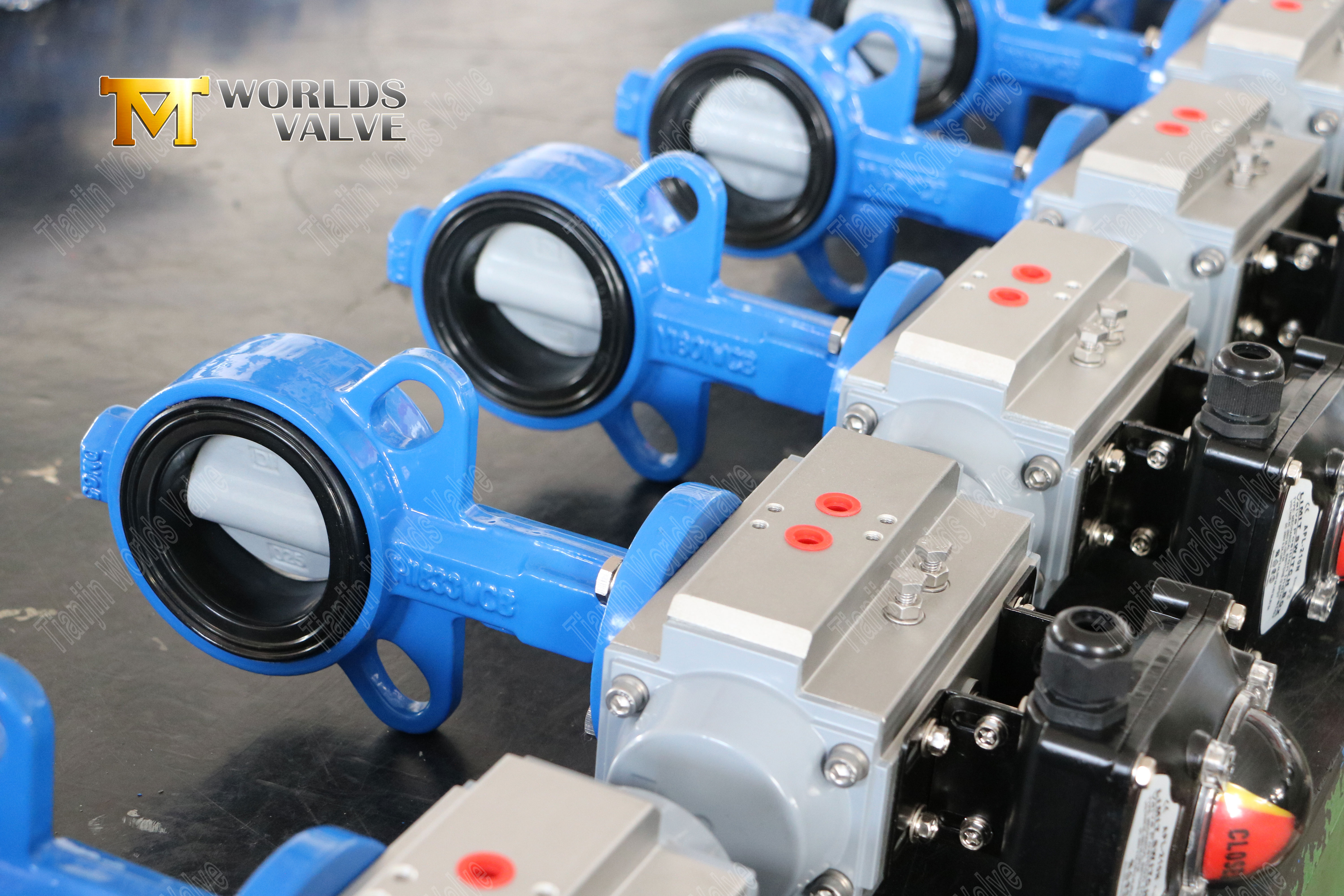 Butterfly Valve Suppliers - SS Disc Wafer Butterfly Valve with Hand Lever (10)