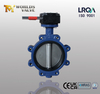 Lug Concentric Butterfly Valves with Worm Gear Operator from China Lug Butterfly Valve Manufacturer-Tianjin Worlds Vavle