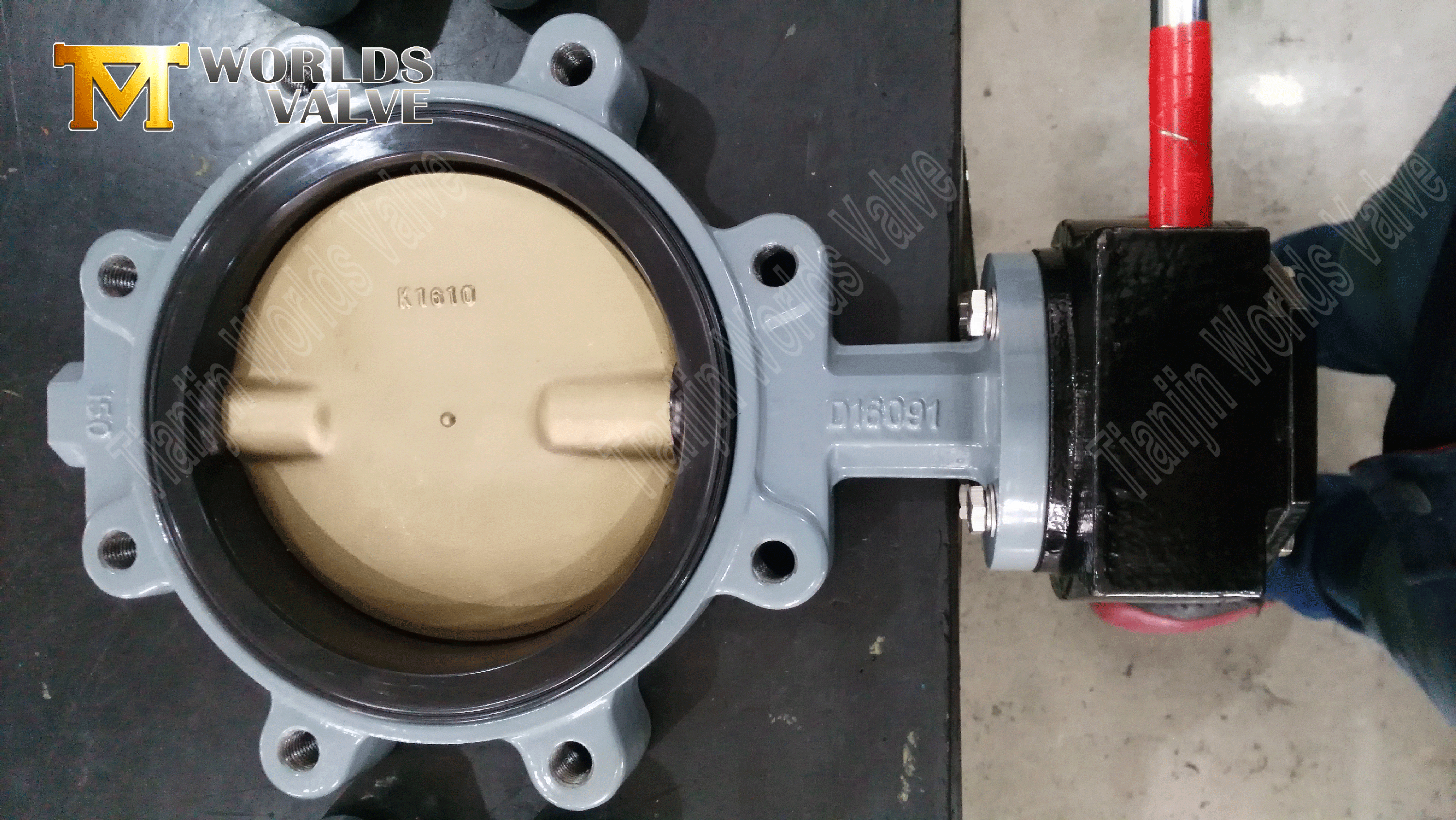 Lug Concentric Butterfly Valves with Gear Operated (3)