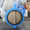 Concentric Lug Lugged Full Lug Butterfly Valve with Rubber Hard Back Seat API609/API598/EN593