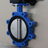  Lugged And Tapped Butterfly Valve with Drilled Holes