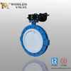 PTFE Coated Lugged Full Lug Butterfly Valve Two Pieces Body API609