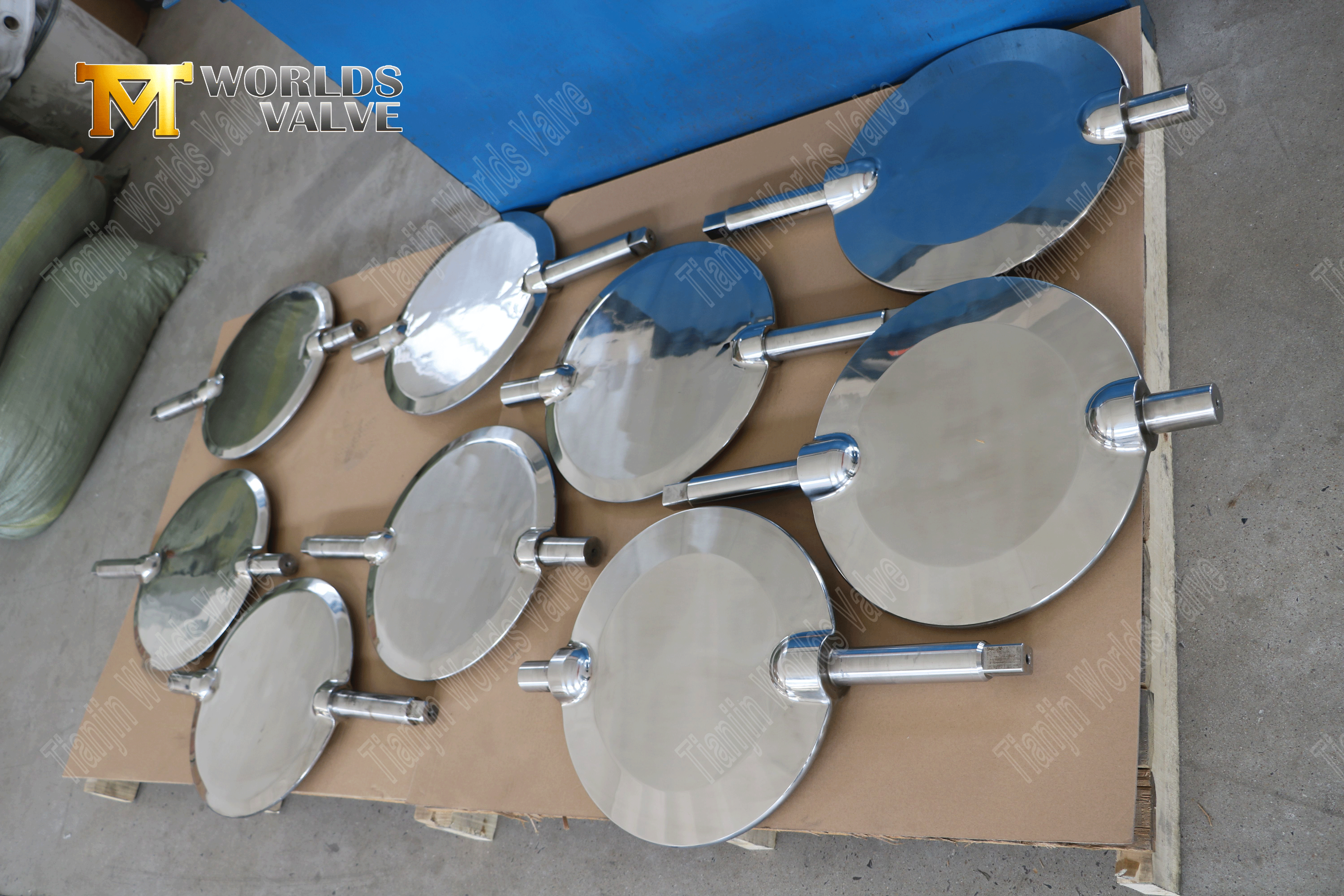 PTFE Lined Butterfly Valve with Polished Disc and Pneumatic Actuator-1 (10)