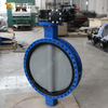 Nylon Coated Disc U-Type Butterfly Valve for Corrosion Resistant Media Applications Produced by China Valve Supplier