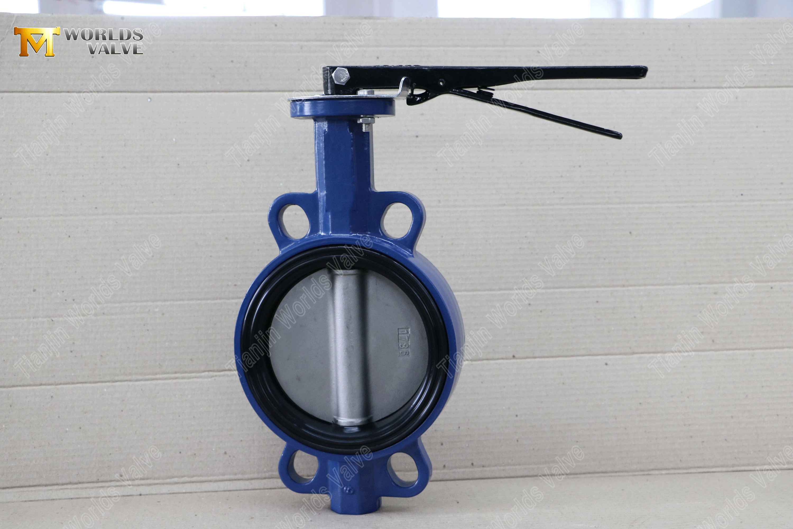 Easy-Maintenance Wafer Butterfly Valve Replaceable EPDM Seat & DI Disc (Hand Lever Operated) (9)