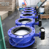 Awwa C504 C207 Double Flange Ductile Iron Butterfly Valves Replaceable Seat