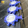 Tapped Threaded hole Lugged Butterfly valve with Lever Gear Operator