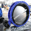 U Section Short Pattern Double Flanged Butterfly Valves with CE ISO WRAS ACS