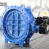  Eccentric Double Flanged Butterfly Valve with Electric Actuator