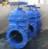 Ductile Iron Rubber Gate Valve for Drinking Portable Water