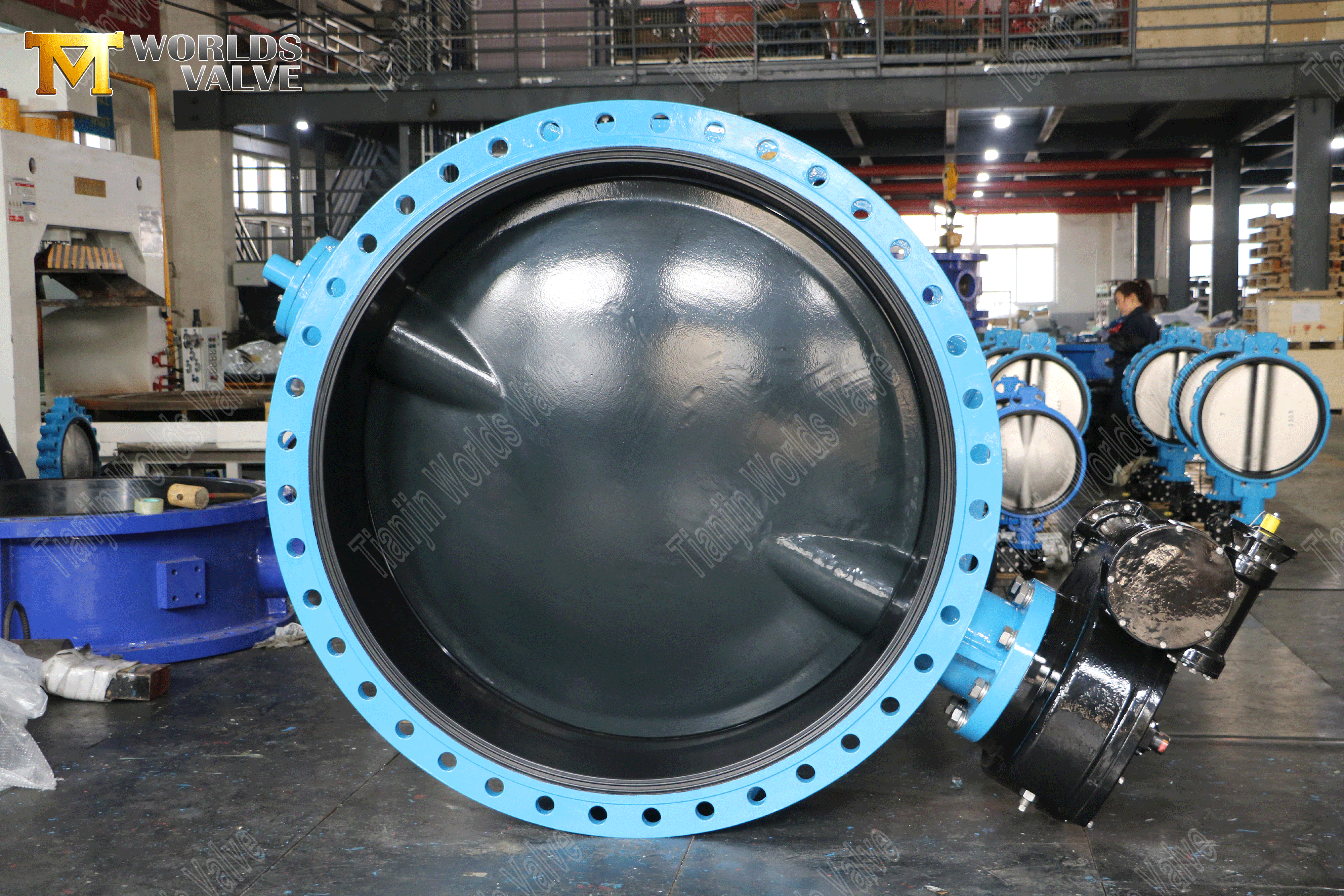 Butterfly Valve Manufacturers - Resilient Seated Double Flanged Butterfly Valve-3 (1).png