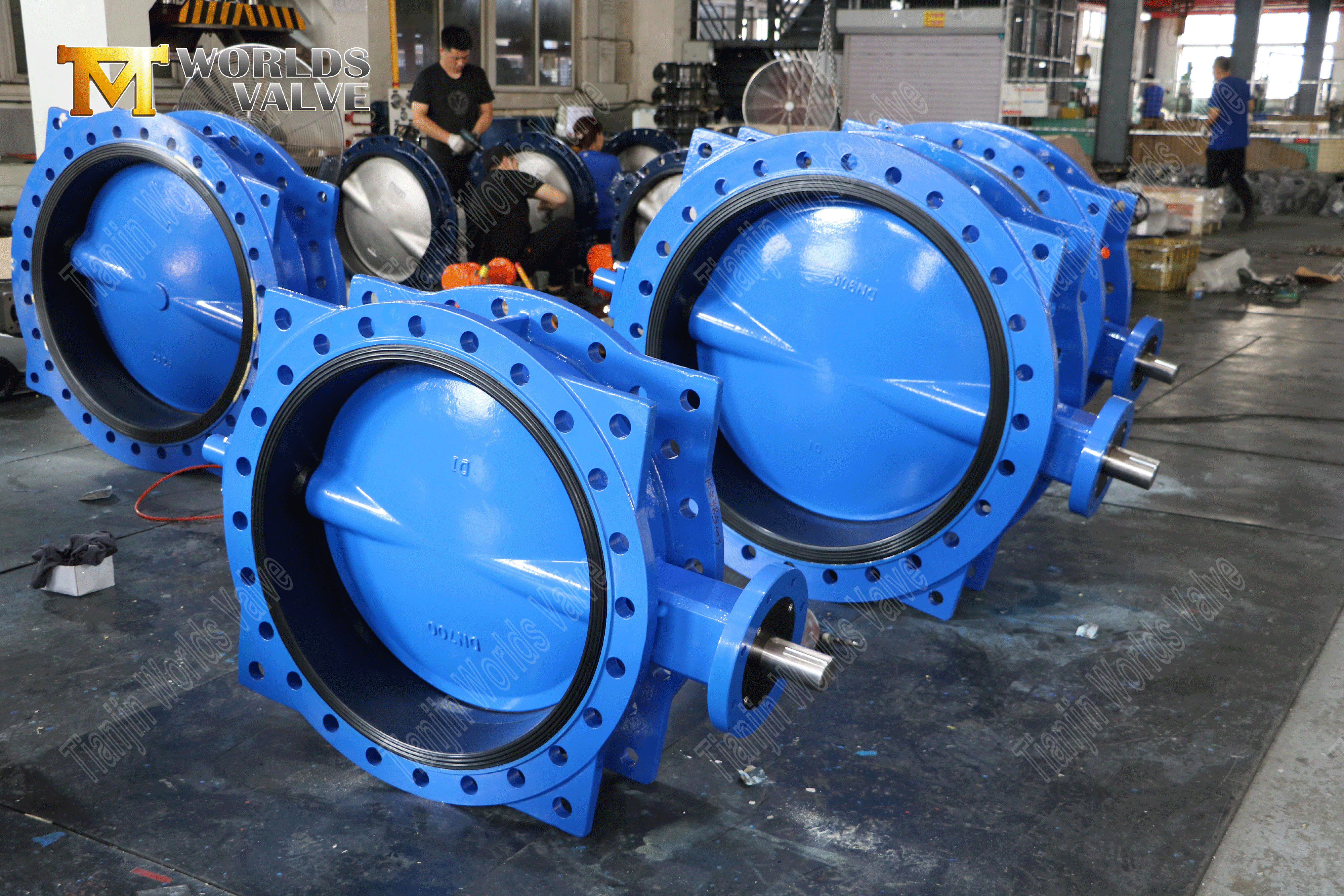 18 Double Flanged Butterfly Valve with Super Duplex Disc and Vulcanized Rubber Seat ISO 5211 Top Flange-1 (2).png