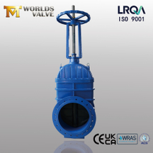 Flanged Rising Stem Gate Valve with EPDM Seat & Gearbox Operator from Tianjin Worlds Valve Co.,Ltd.