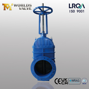 Flanged Rising Stem Gate Valve with EPDM Seat & Gearbox Operator from Tianjin Worlds Valve Co.,Ltd.
