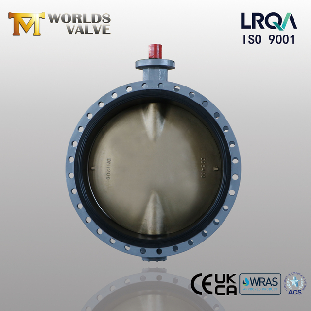Aluminum Bronze Disc Double Flanged Butterfly Valve from China Valve Factory-Tianjin Worlds Valve Co.,Ltd.