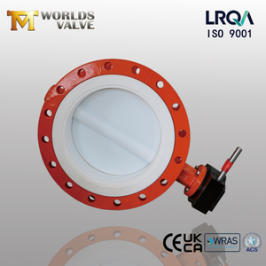 DN600 Two-Piece Flanged PTFE Butterfly Valve with WCB Body & Gear Operated