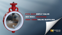 //ikrorwxhnjoklo5p-static.micyjz.com/cloud/liBprKiklmSRolrpjkpkiq/Wafer-Type-PTFE-Butterfly-Valve-with-Mirror-Polished-SS-Disc.jpg