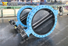 U Section Butterfly Valve with HALAR Painting Disc