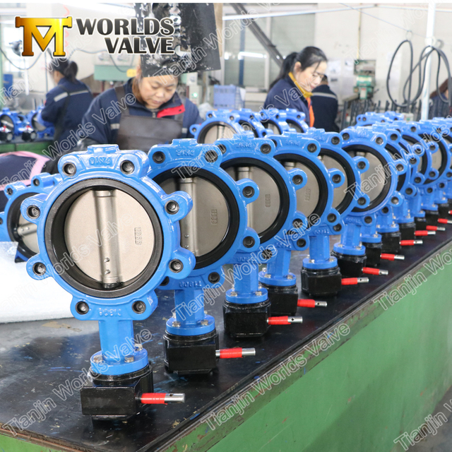 VITON/FKM/FPM Seat Rubber Liner Butterfly Valve