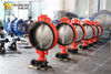 Wafer Type Butterfly Valve with PN6 PN10 PN16 PN25 CL125 Cl150 AS TableD Table E Flanges Connection