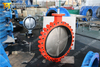 DN750 30 Inches Lug Butterfly Valve with Aluminium Bronze Disc