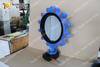 Concentric lugged type Rubber Lining Nylon coated disc butterfly valve with Tapped Hole