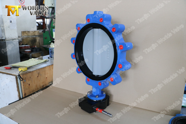 Full Lug Type Butterfly Valve with Nylon Coated Disc from a China OEM Butterfly Valve Manufacturer