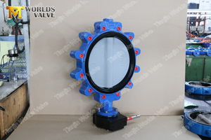 Full Lug Type Butterfly Valve with Nylon coated Disc from China OEM Butterfly Valve Manufacturer