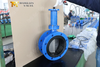 Extension Shaft Butterfly Valve with SS Disc and double flange design produced by China Valve Supplier-Tianjin Worlds Valve