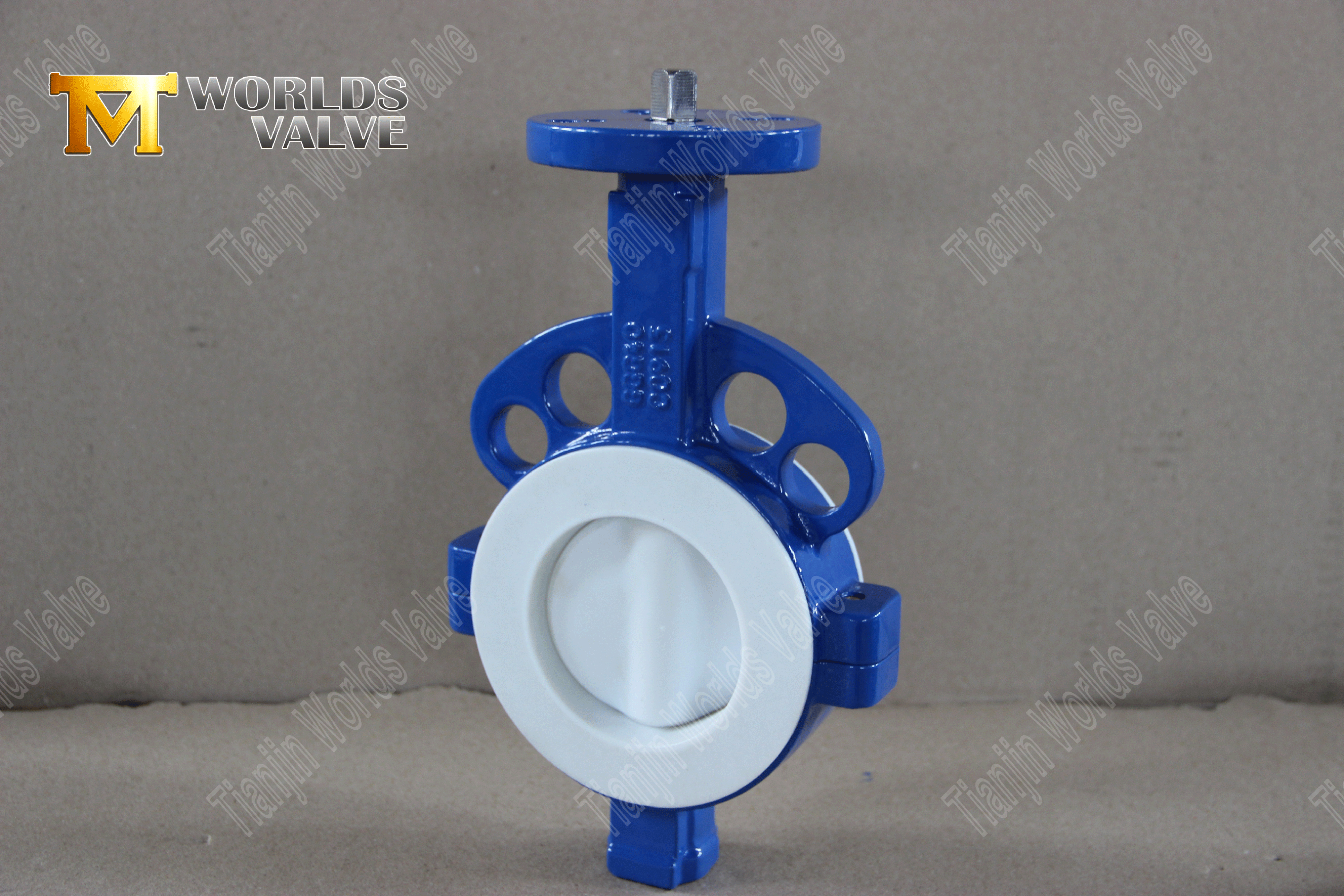 PTFE-Lined-Butterfly-Valve